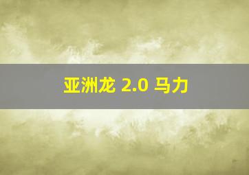 亚洲龙 2.0 马力